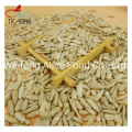 Direct Manufacture Sale Sunflower Seed Kernels Sunflower Kernels